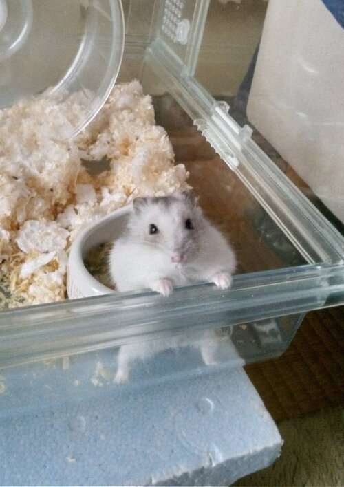 〇598553763040985429 - コピー.jpg