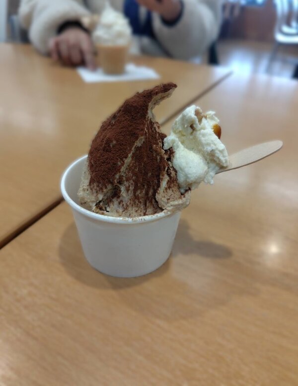 ○vIMG_2830 - コピー.JPG