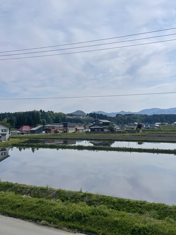 IMG_4060.jpeg