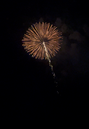 IMG_5010.PNG
