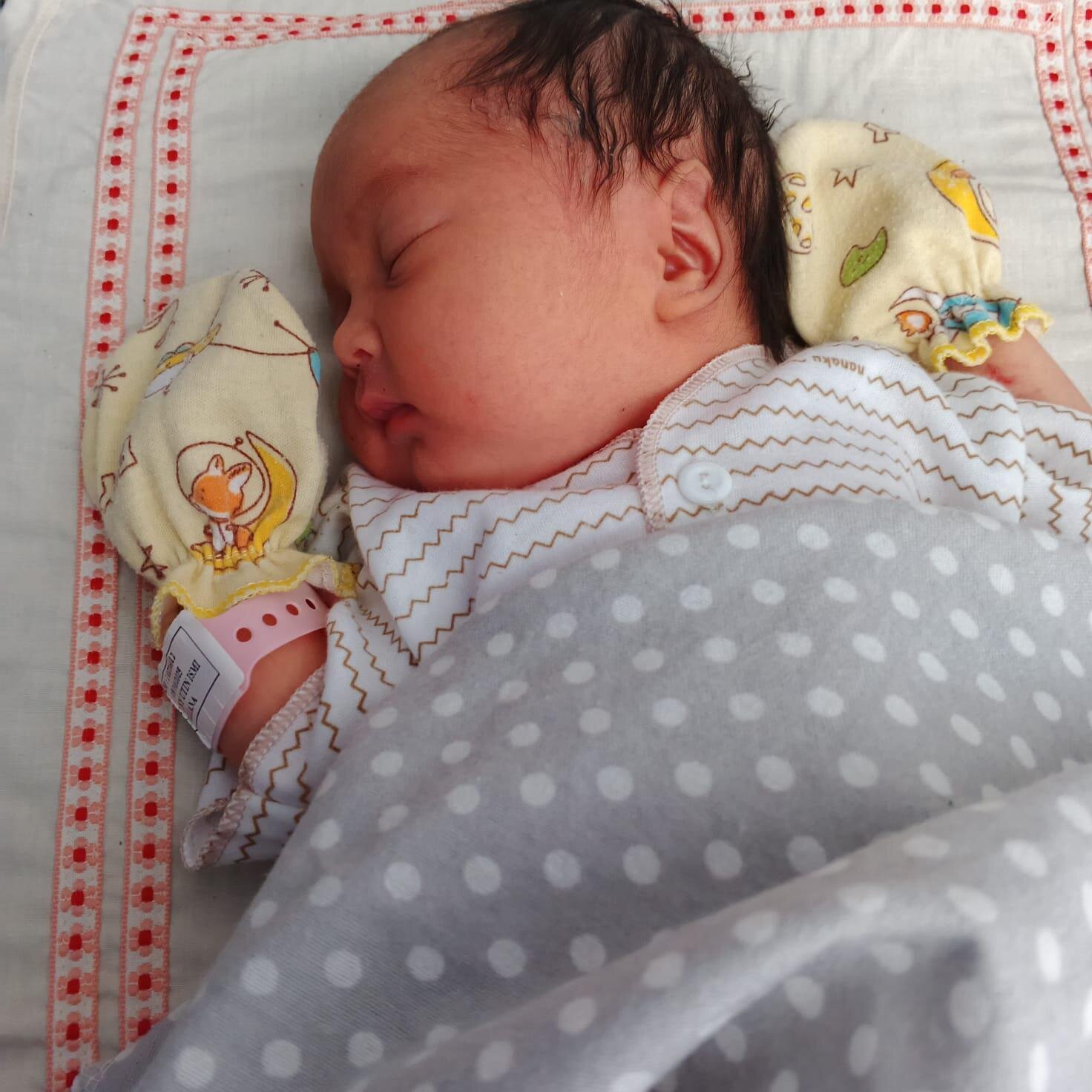 Foto yang dipilih (4).jpg