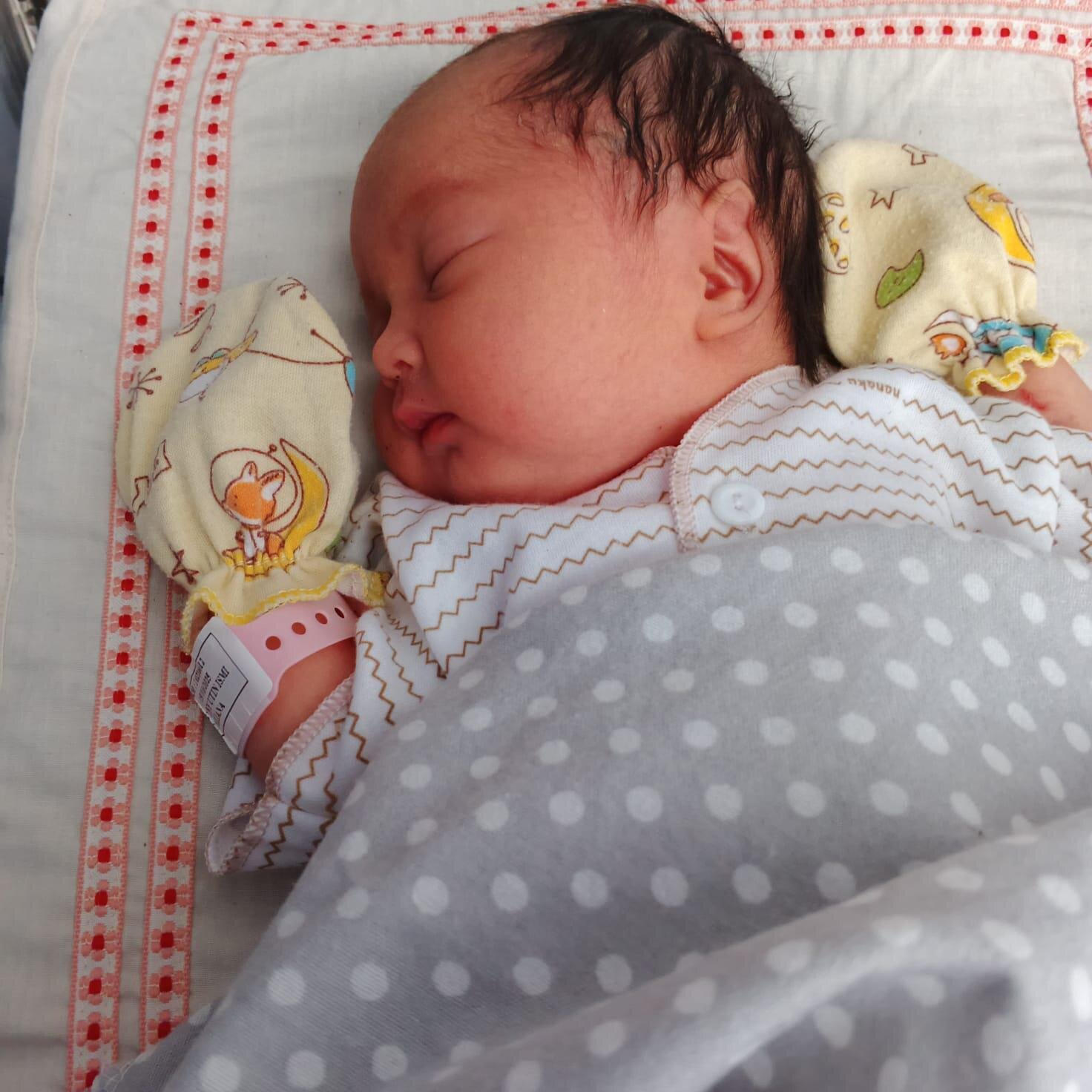 Foto yang dipilih (5).jpg