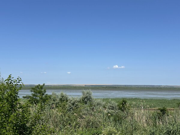 IMG_7786.JPG